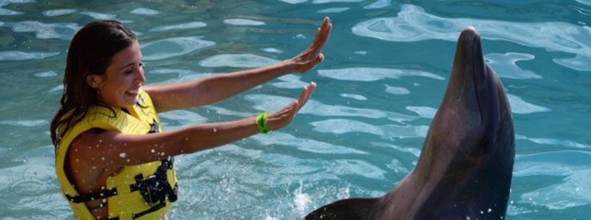 Salvador e Iroshka dicen adiós a la luna de miel