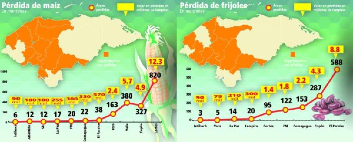Honduras pierde granos por fenómenos