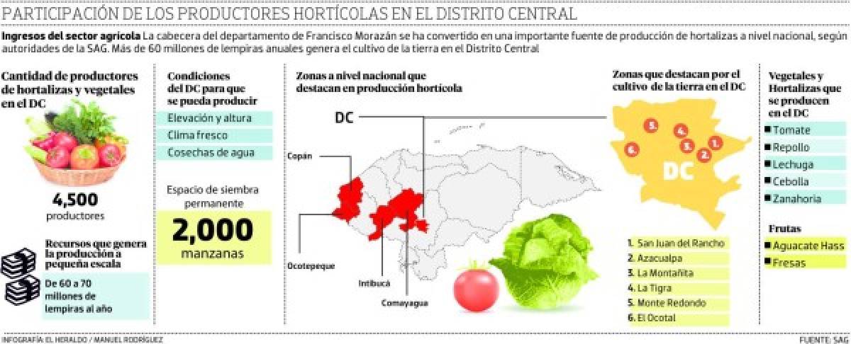 Unos 4,500 capitalinos surten de hortalizas las ferias y mercados