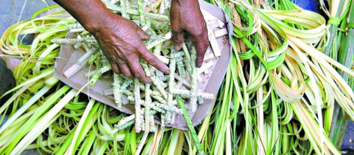 Que Jesucristo entre triunfal a la Jerusalén de la vida de todos