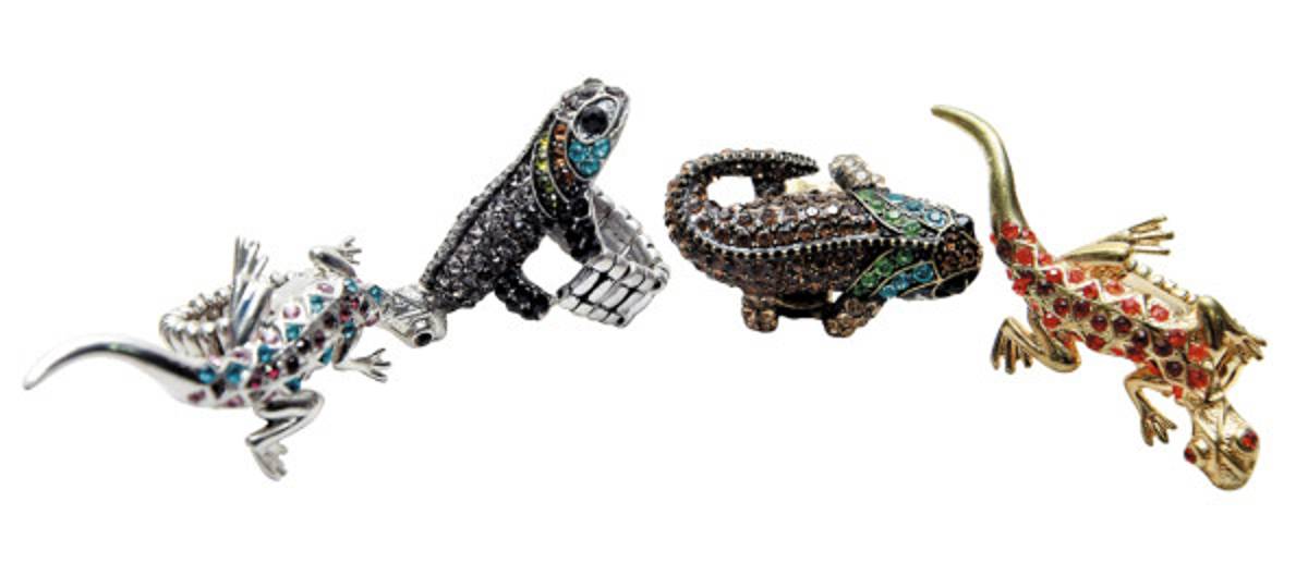 El mundo animal en todo su esplendor