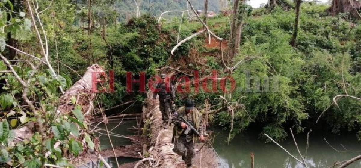 Acciones emprendidas para frenar construcción de carretera en pleno corazón de Biósfera del Río Plátano (FOTOS)