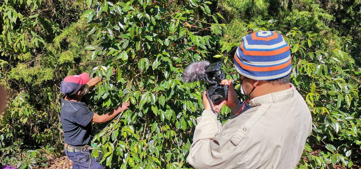 Cineasta hondureño Juan Elvir estrena el documental “Café de Palo”