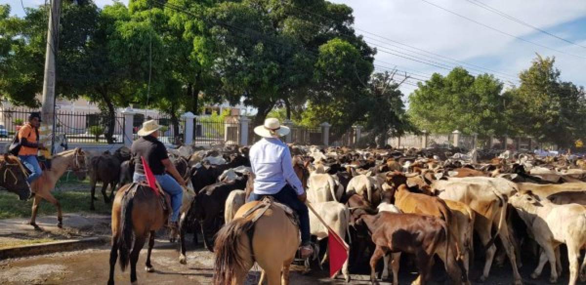 Foto: El Heraldo