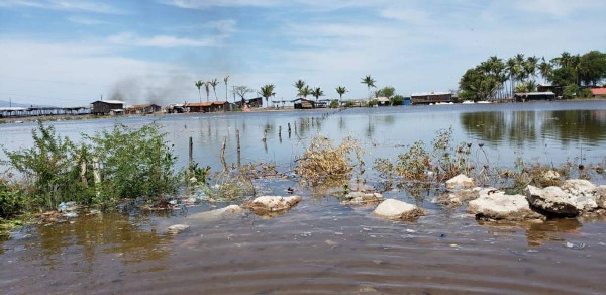 Marejadas dejan inundaciones y aguas estancadas en Cedeño