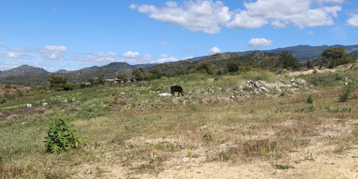 Solo monte se ve en Villa Solidaridad, lugar donde construirían casas a damnificados