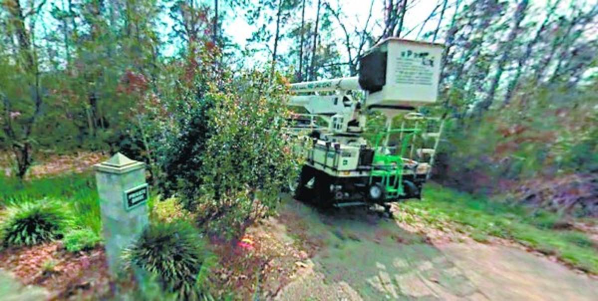 Mario Zelaya usó a su hermano de testaferro en cinco bienes