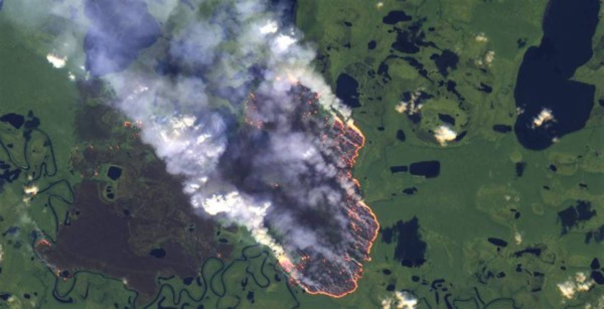 Así luce la Amazonia, el pulmón del mundo devorado por un incendio
