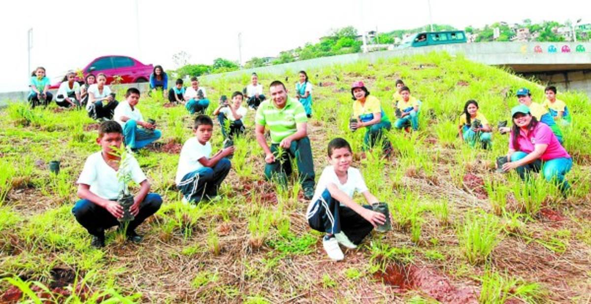 Niños amigables con el ambiente reforestan área verde de la capital