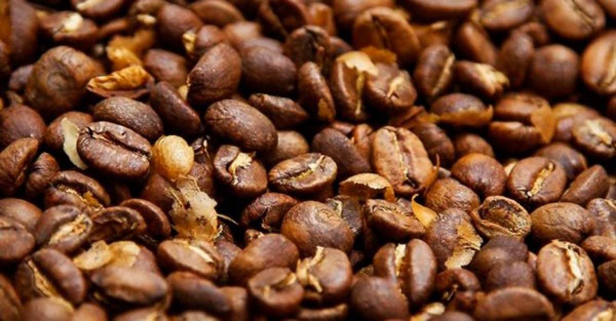 Buque ecológico llevará café hondureño a Alemania