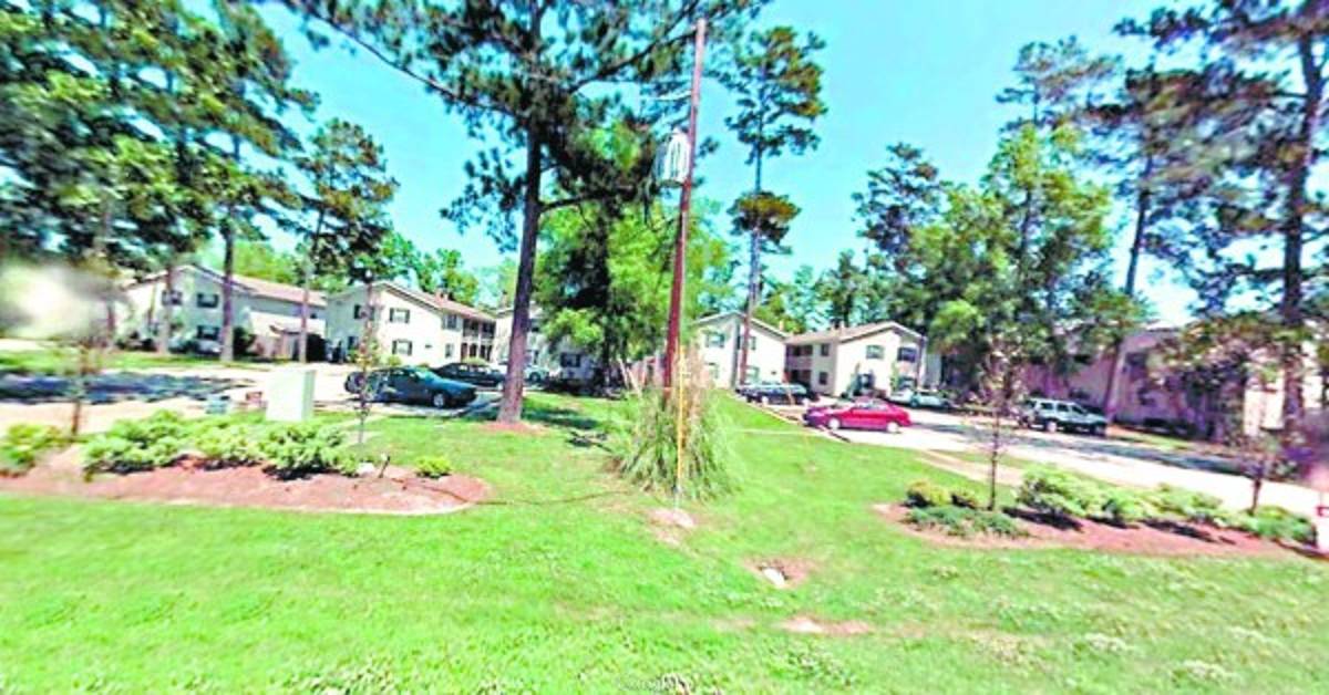 Mario Zelaya usó a su hermano de testaferro en cinco bienes