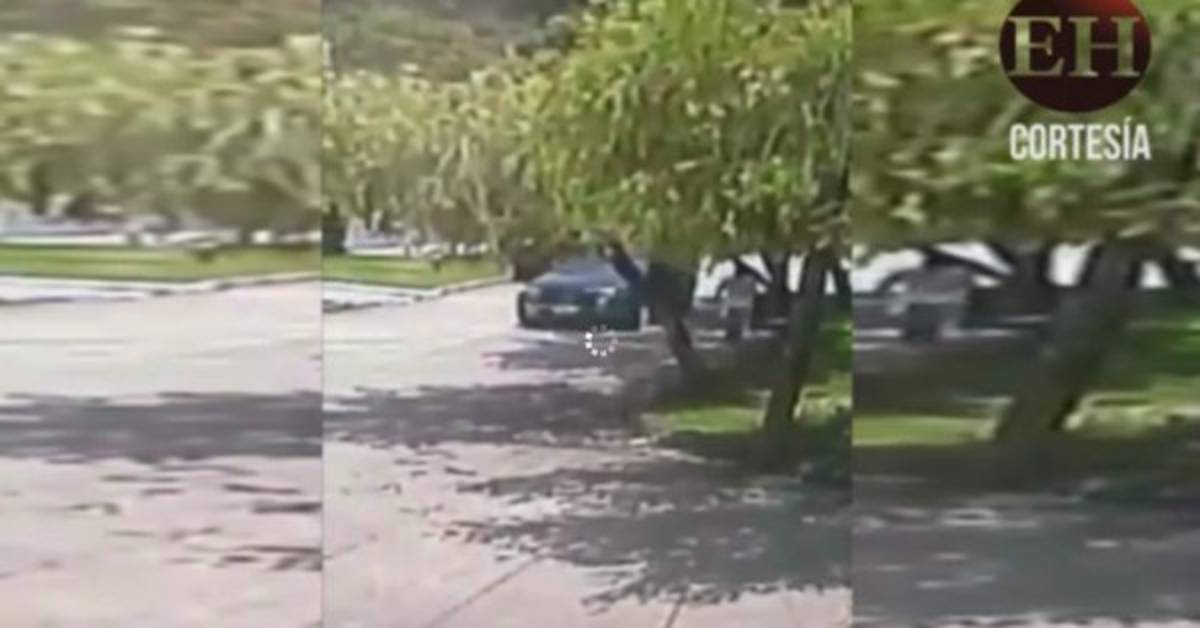 Video: Hombres fuertemente armados asaltan a ciudadano en San Pedro Sula