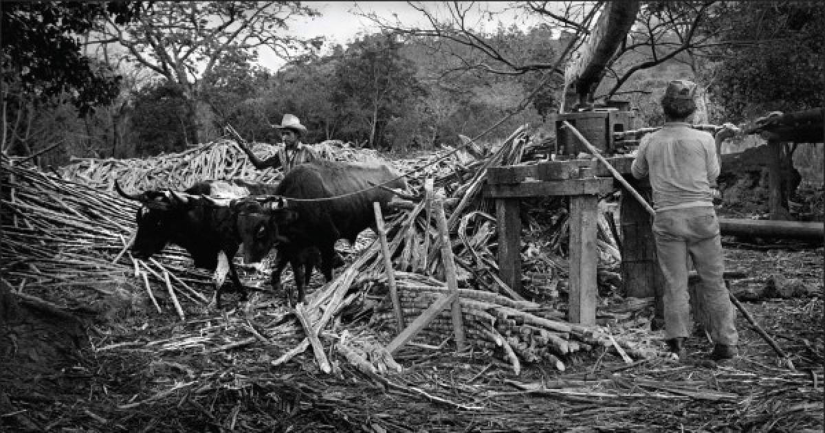 Edmundo Lobo: la poesía de una cámara que le cantó a Honduras