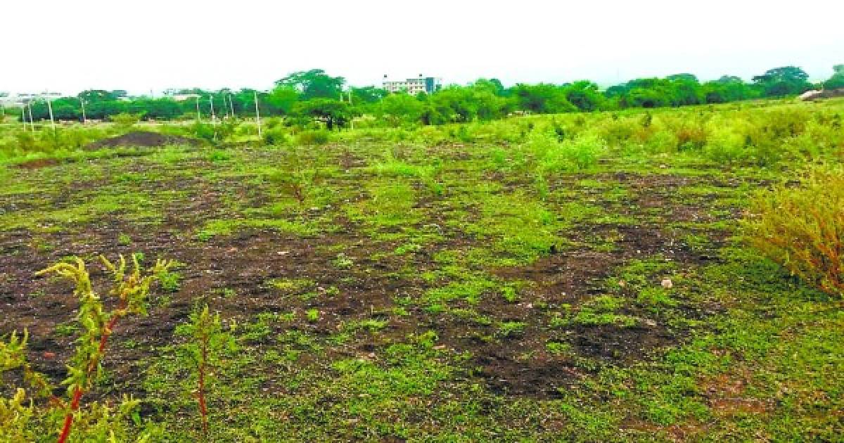 Al menos siete propiedades se compraron con fondos de la Secretaría de Agricultura y Ganadería