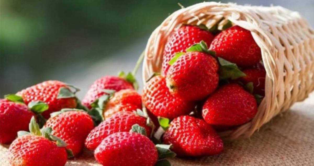 joyería lente Hacer la cama Buenísimos beneficios de comer fresas que seguro desconoces