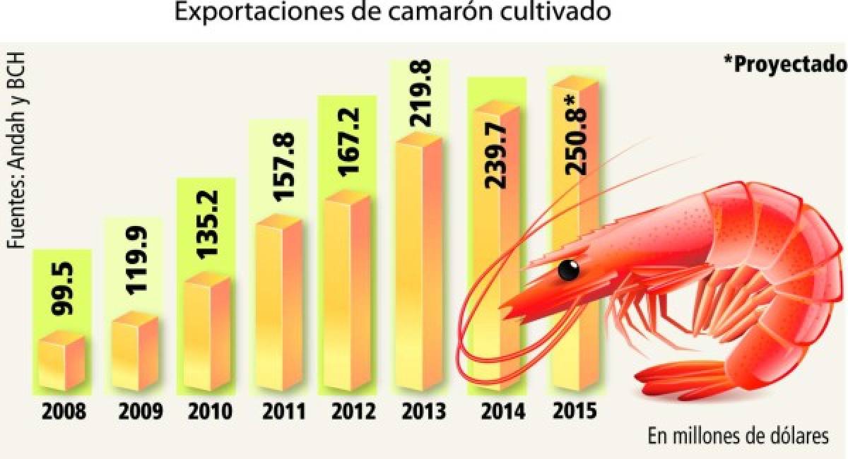 Buscan bloquear exportaciones de camarón hondureño