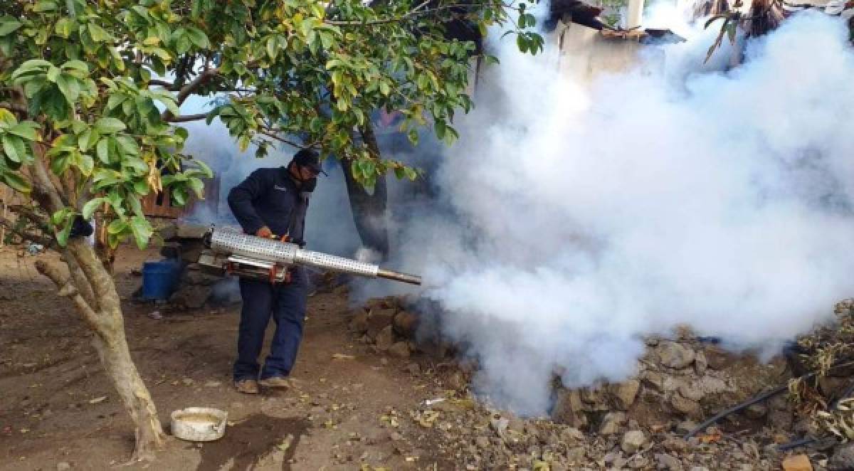Más de 160 mil casas fumigadas contra el dengue en la capital de Honduras