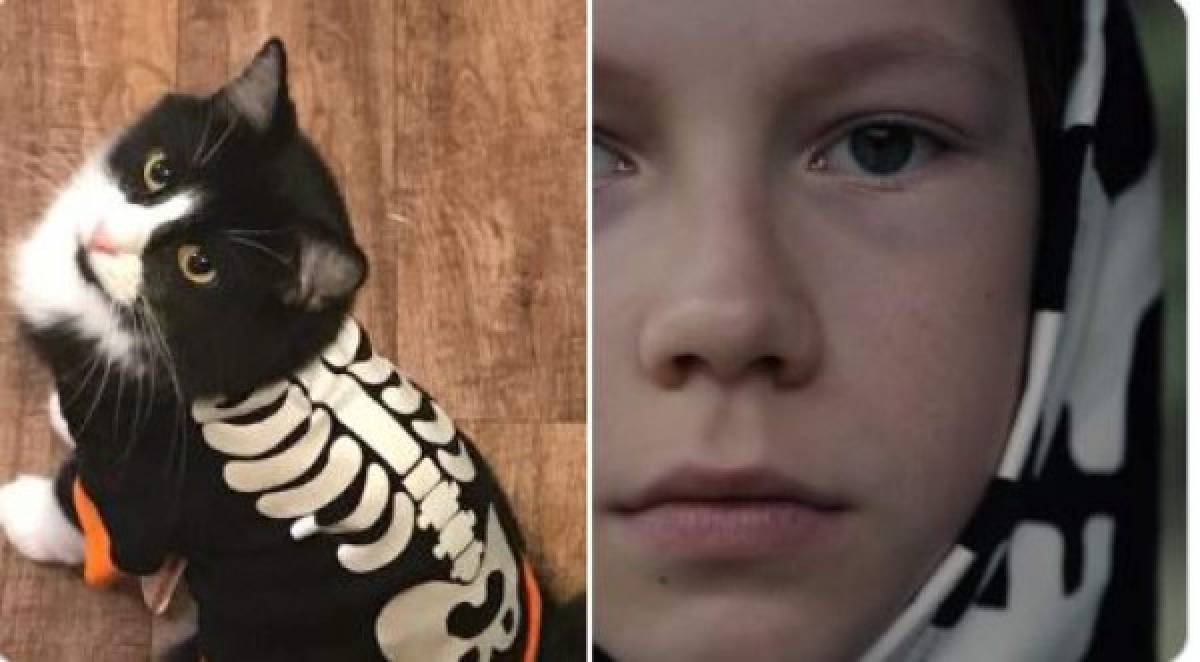 Así se verían los personajes de Dark si fueran gatos (FOTOS)