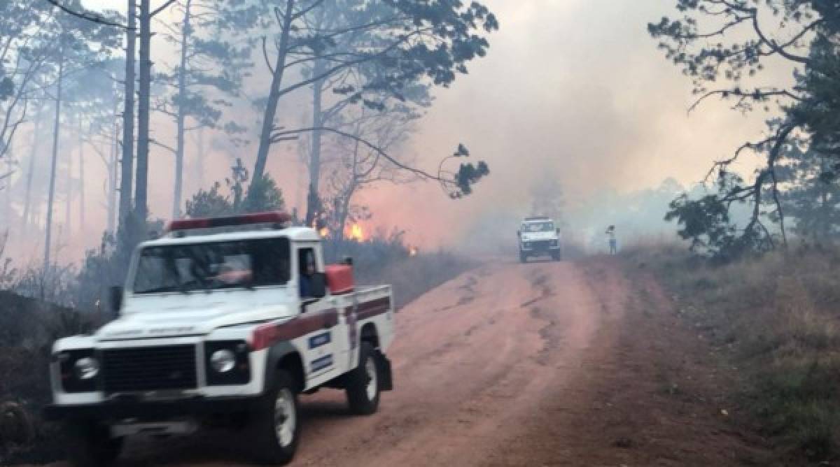 Imágenes del voraz incendio en el cerro Uyuca, salida al oriente de la capital de Honduras