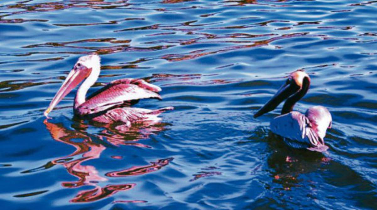 'Los artistas marcan etapas e historia”