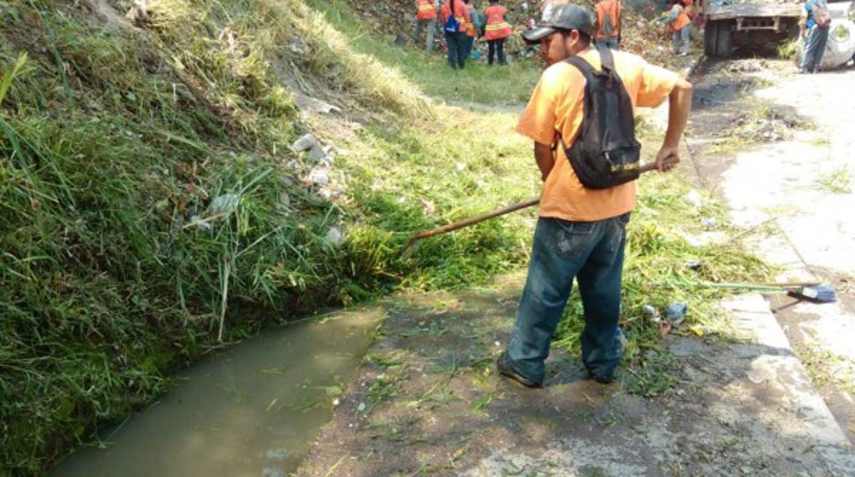 Destruyen criaderos de zancudos en 20 colonias de la capital