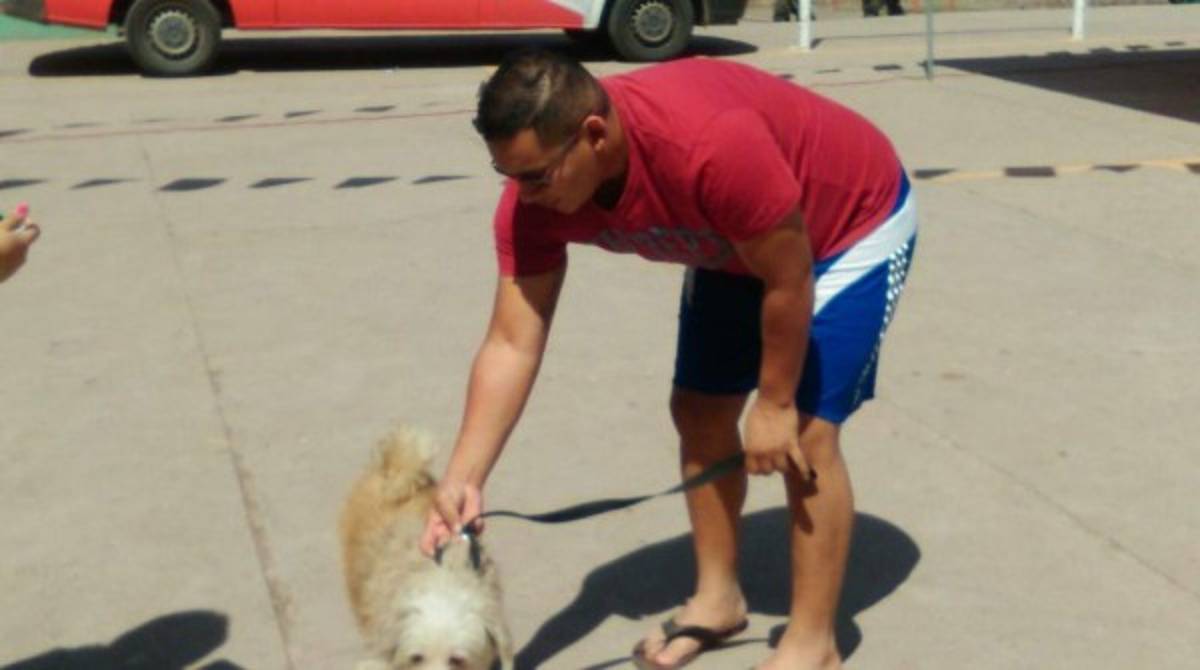 Inicia campaña de vacunación de mascotas en la capital