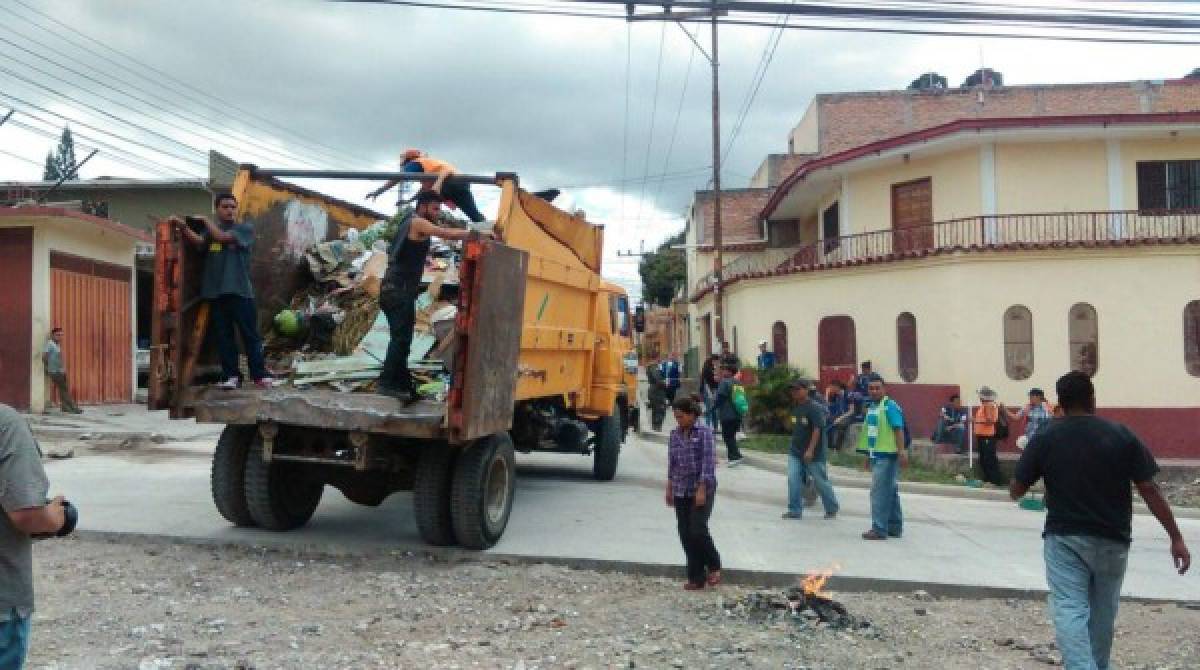 Tegucigalpa: Intervienen 7,000 casas en operativos contra zika