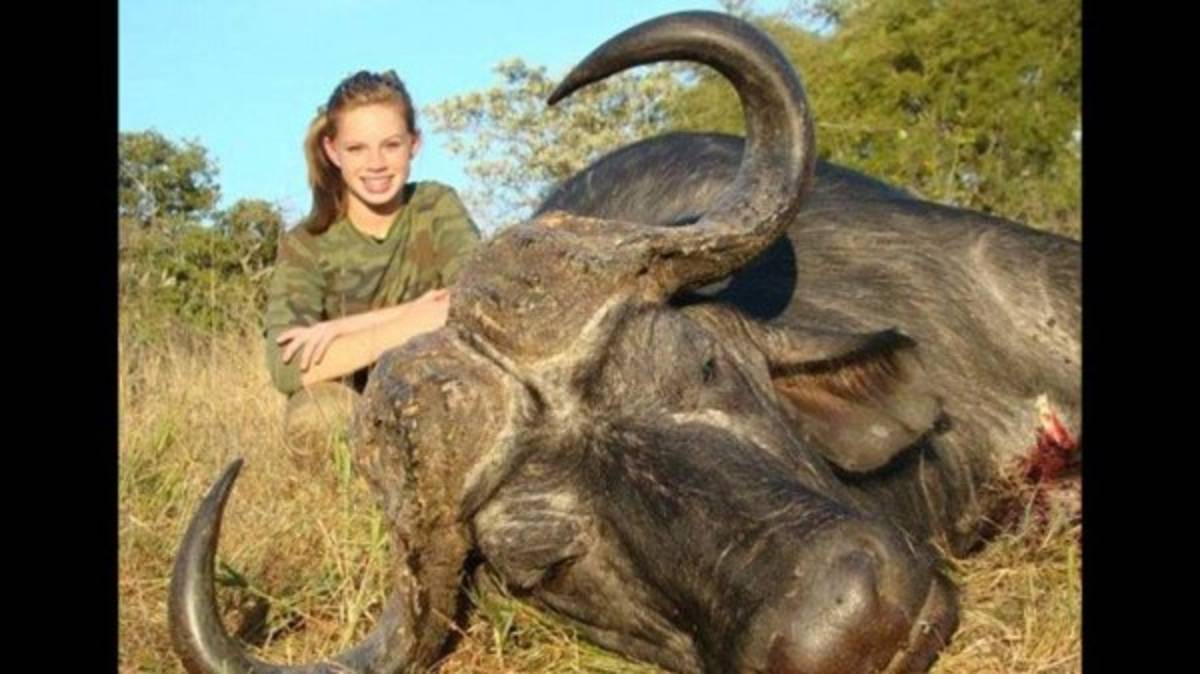 La absurda defensa de la porrista asesina de animales