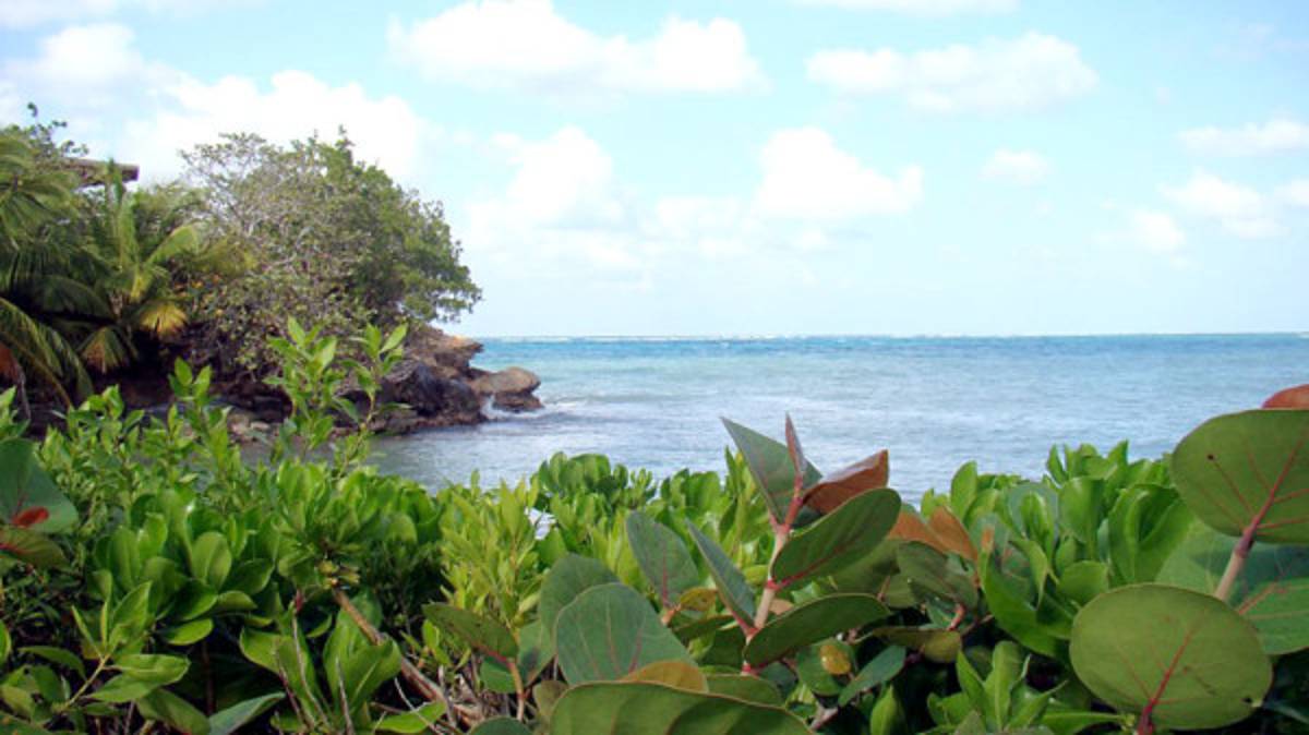 Fotos de los lectores para el Día de la Tierra