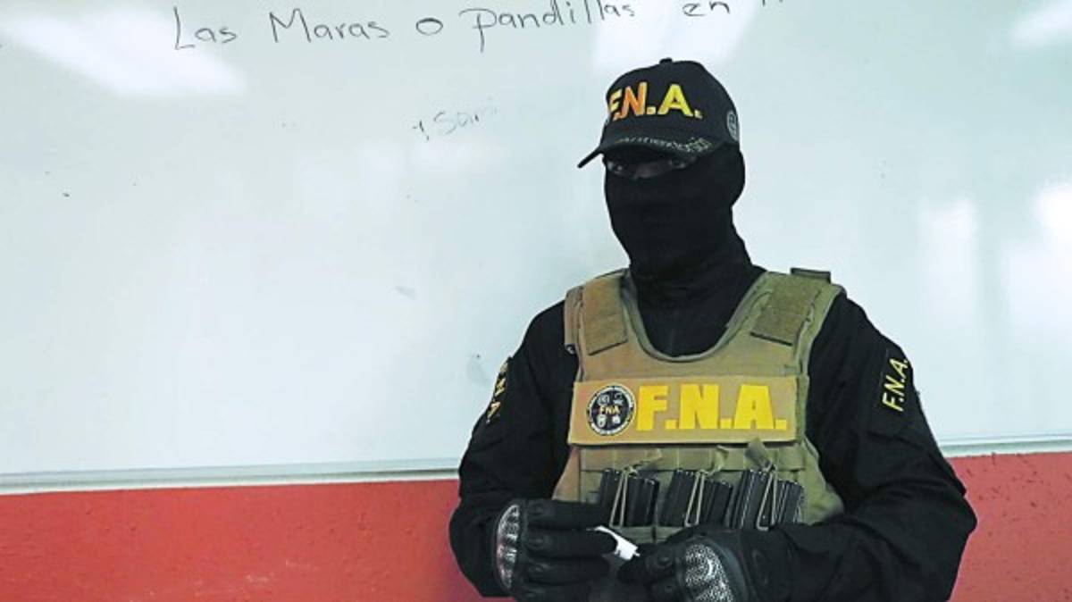 Experto de FNA: 'Hay zonas exclusivas controladas por las pandillas en la capital”
