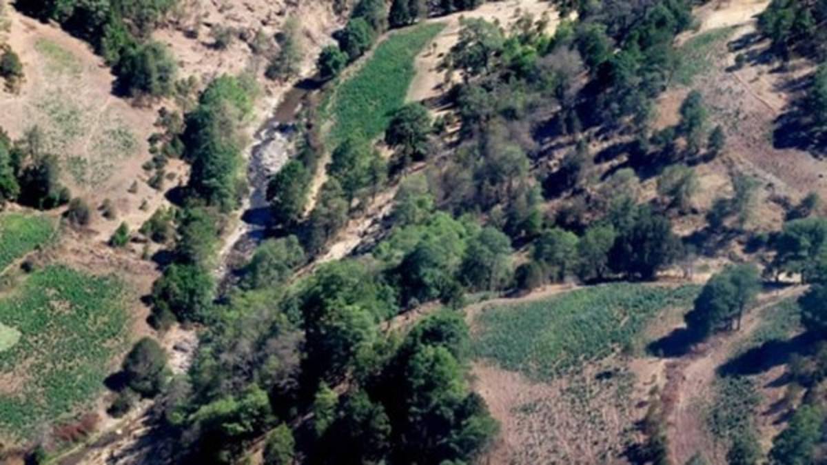 ¿Por qué resultó herido el Chapo en el último escape?