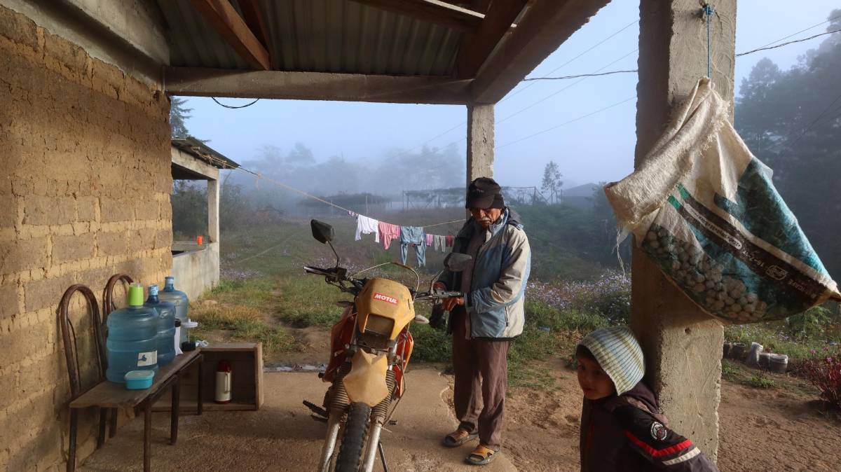 Cineasta hondureño Juan Elvir estrena el documental “Café de Palo”