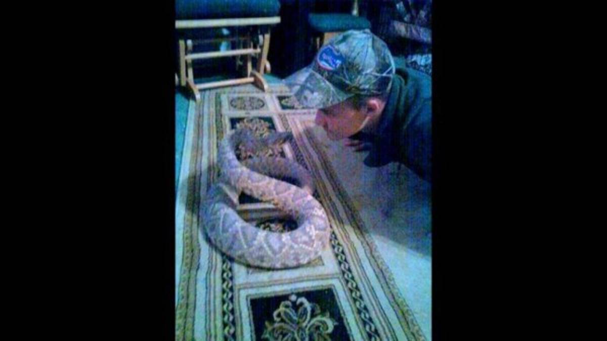 Intentó besar una víbora