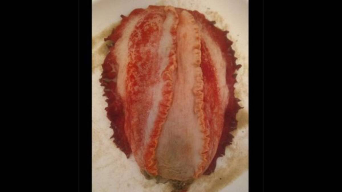 El misterioso monstruo marino que apareció en las playas australianas