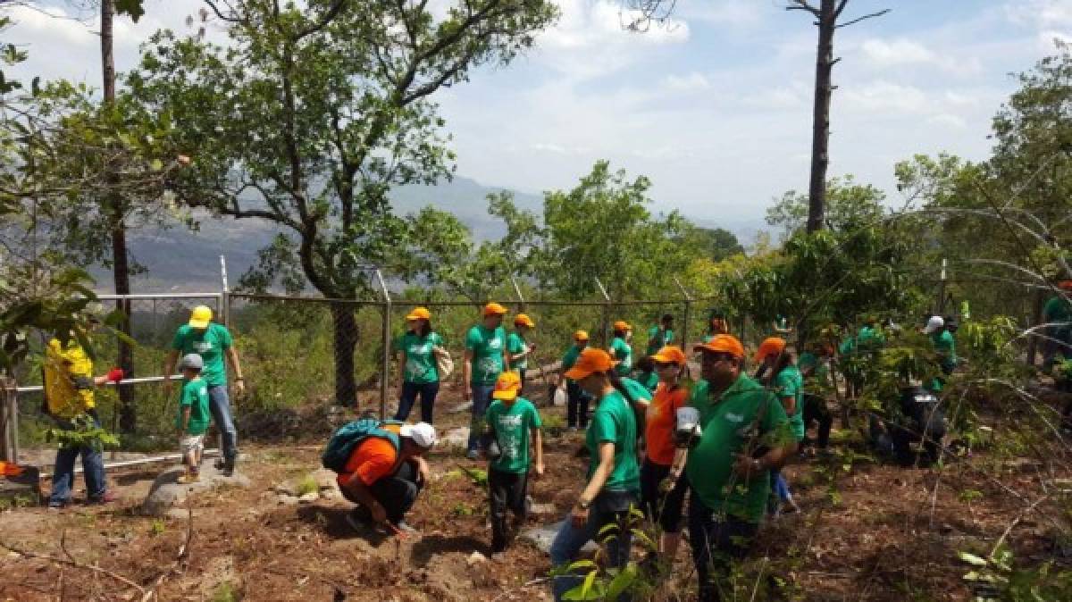 Empresas Socialmente Responsables impactan en la vida de miles de hondureños