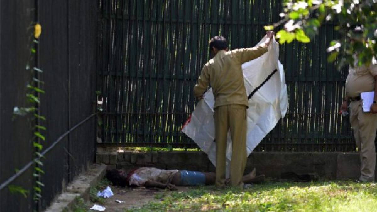 Un tigre mató a un estudiante en zoológico de Nueva Delhi