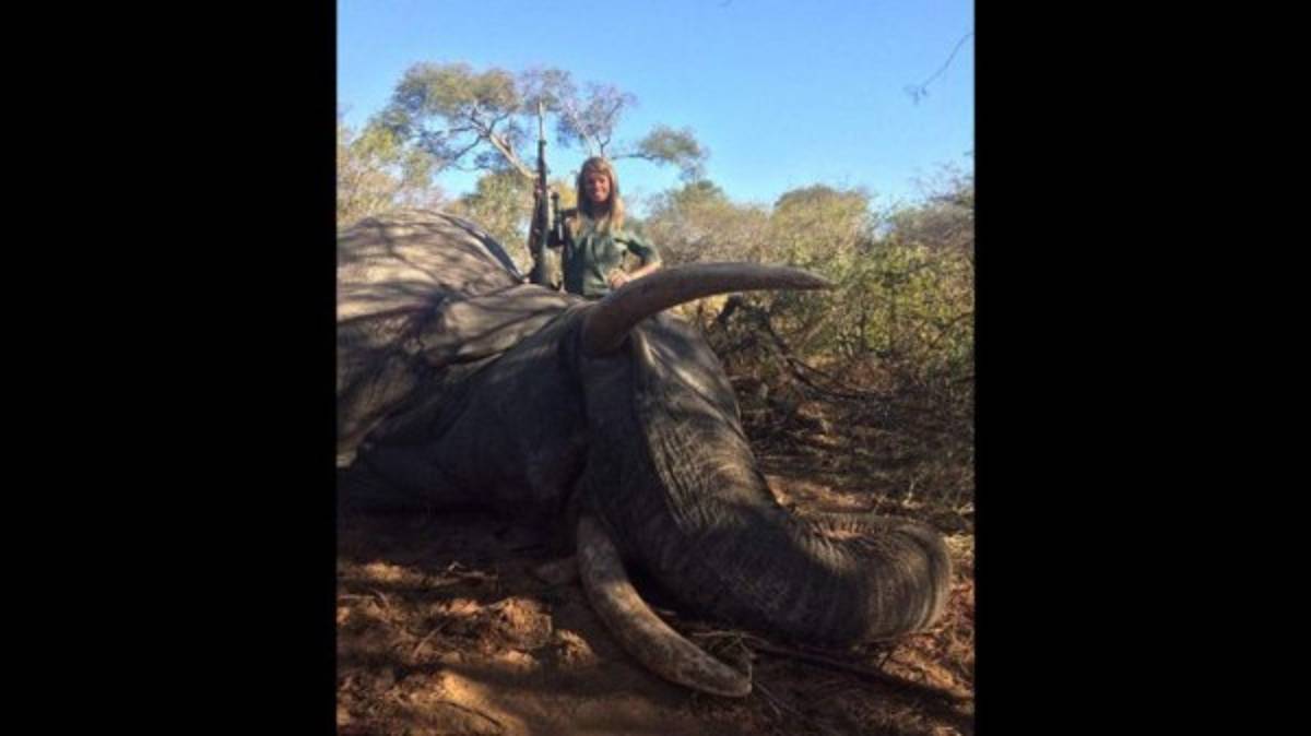 La absurda defensa de la porrista asesina de animales