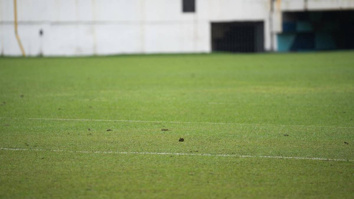 La razón por la que ha cambiado de color la grama del estadio Morazán de San Pedro Sula