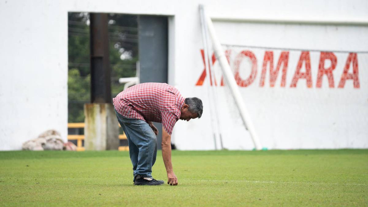 La razón por la que ha cambiado de color la grama del estadio Morazán de San Pedro Sula