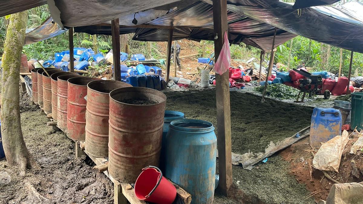Hojas secas, molidas y plantas de coca: incineran narcolaboratorio en Limones, Catacamas