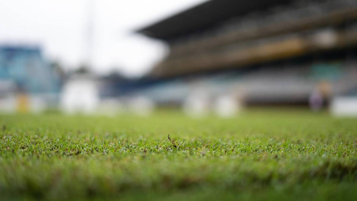 La razón por la que ha cambiado de color la grama del estadio Morazán de San Pedro Sula