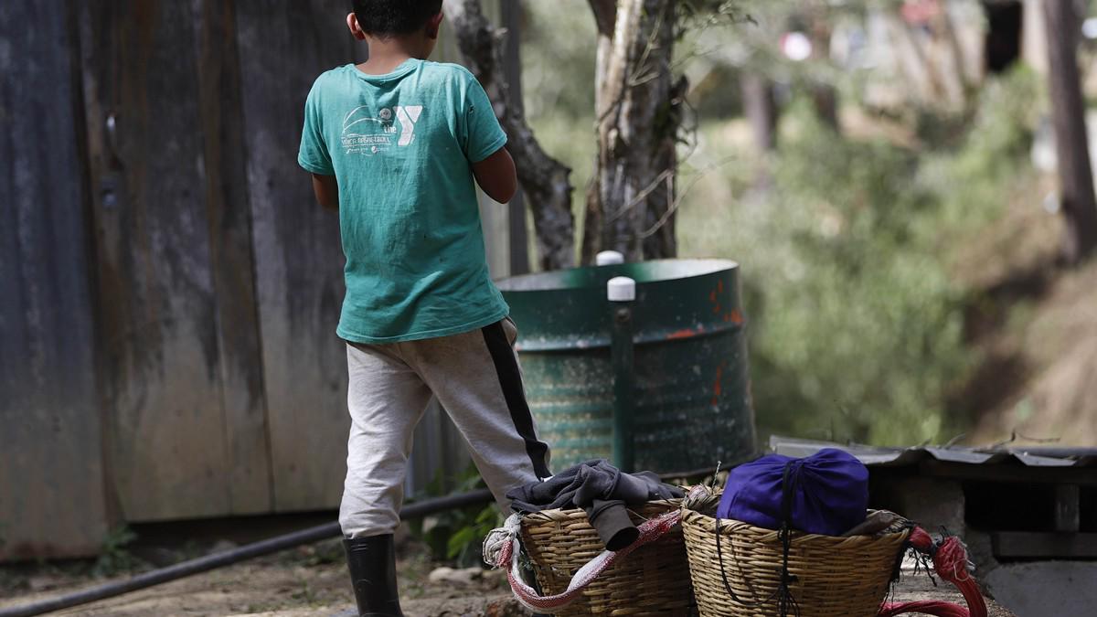 El sacrificio de los productores para mantener a Honduras en primeros lugares en café de excelencia