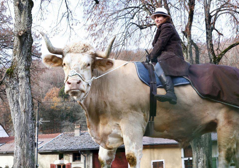 Al pie de los viñedos de un pueblo del este de Francia, Sabine Rouas sale en la mañana sobre el lomo de Aston, un toro de 1,4 toneladas que pasea apaciblemente. Conoce más de este animal que tiene encantados a todos.