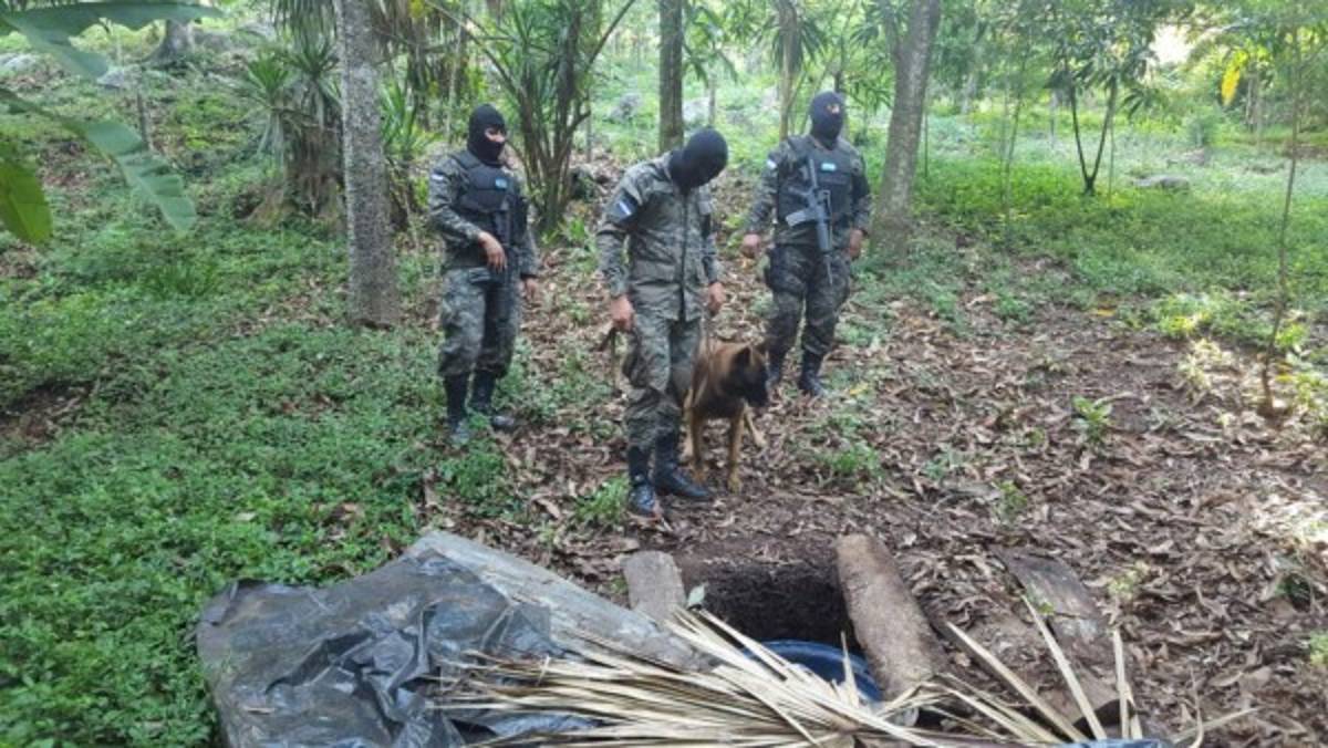 Choluteca: Decomisan más de 204 libras de marihuana enterradas en una caleta