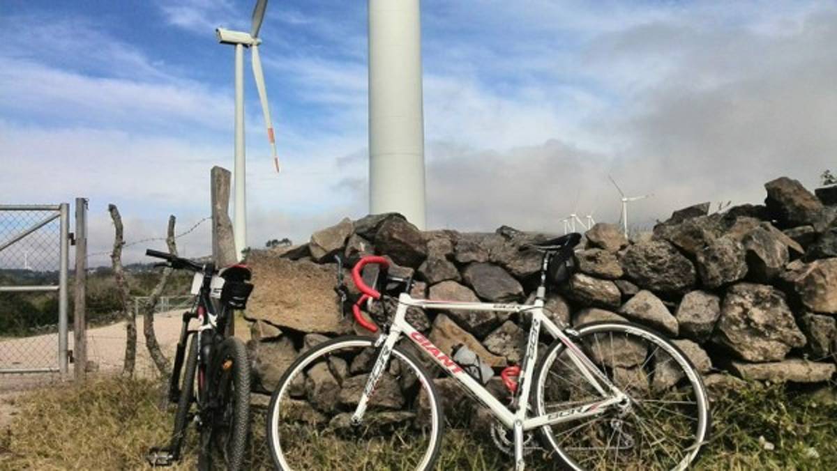 Los mejores catrachistes de la semana