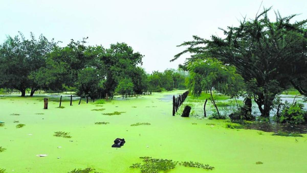 Desbordamiento de ríos mantiene bajo alerta cinco municipios del sur de Honduras