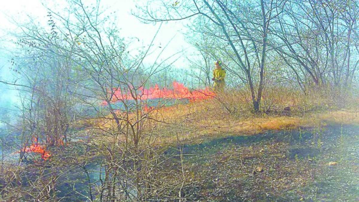 Apenas ocho hidrantes tienen agua día y noche en la capital de Honduras
