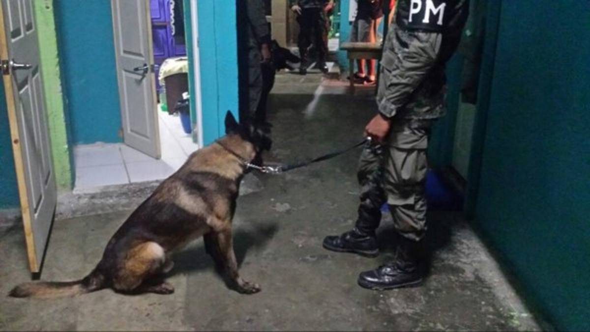 Honduras: Decomisan armas, municiones y droga en centro penal de San Pedro Sula