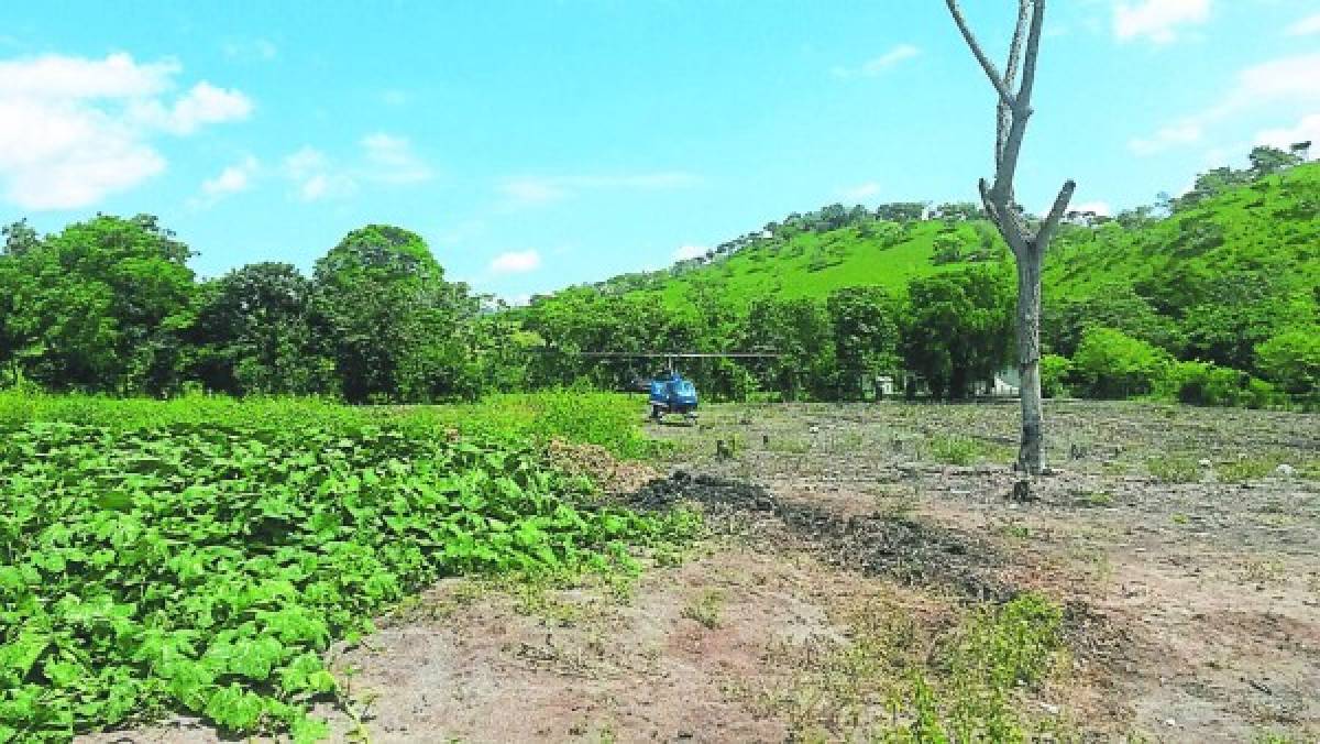 Los Valle invadieron más de mil manzanas en el occidente de Honduras