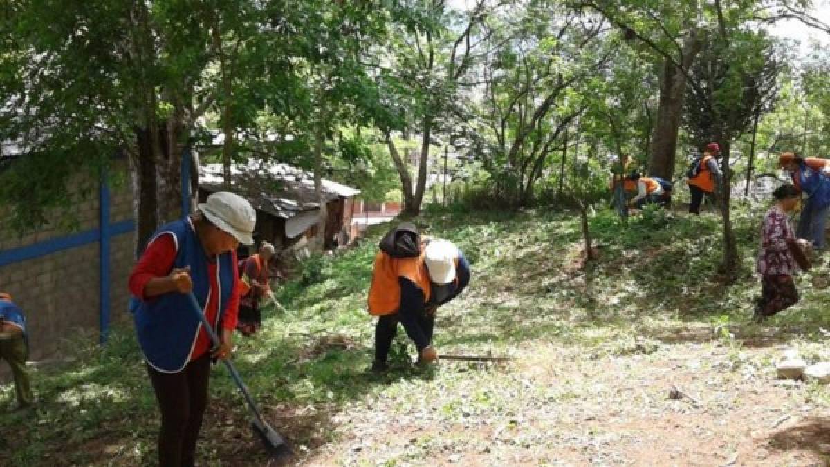 Honduras: Fuertes operativos de limpieza en barrios y colonias de la capital